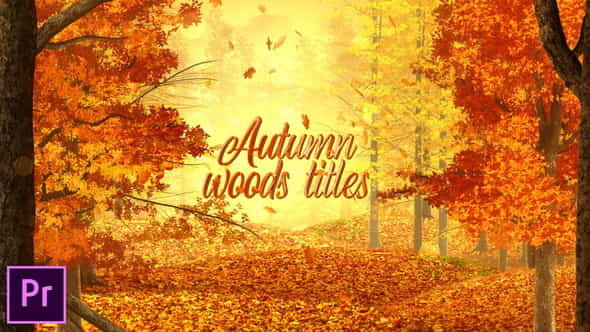 Autumn Woods Titles - Premiere - VideoHive 34323477