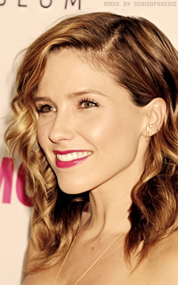 Sophia Bush 41ao1urB_o