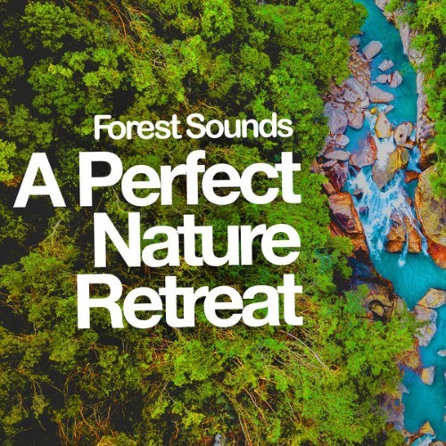 Forest Sounds - A Perfect Nature Retreat - 2019