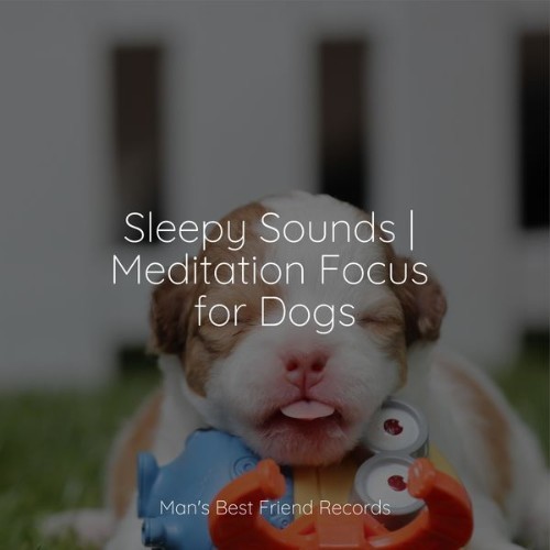 Pet Care Music Therapy - Sleepy Sounds  Meditation Focus for Dogs - 2022