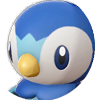 Piplup