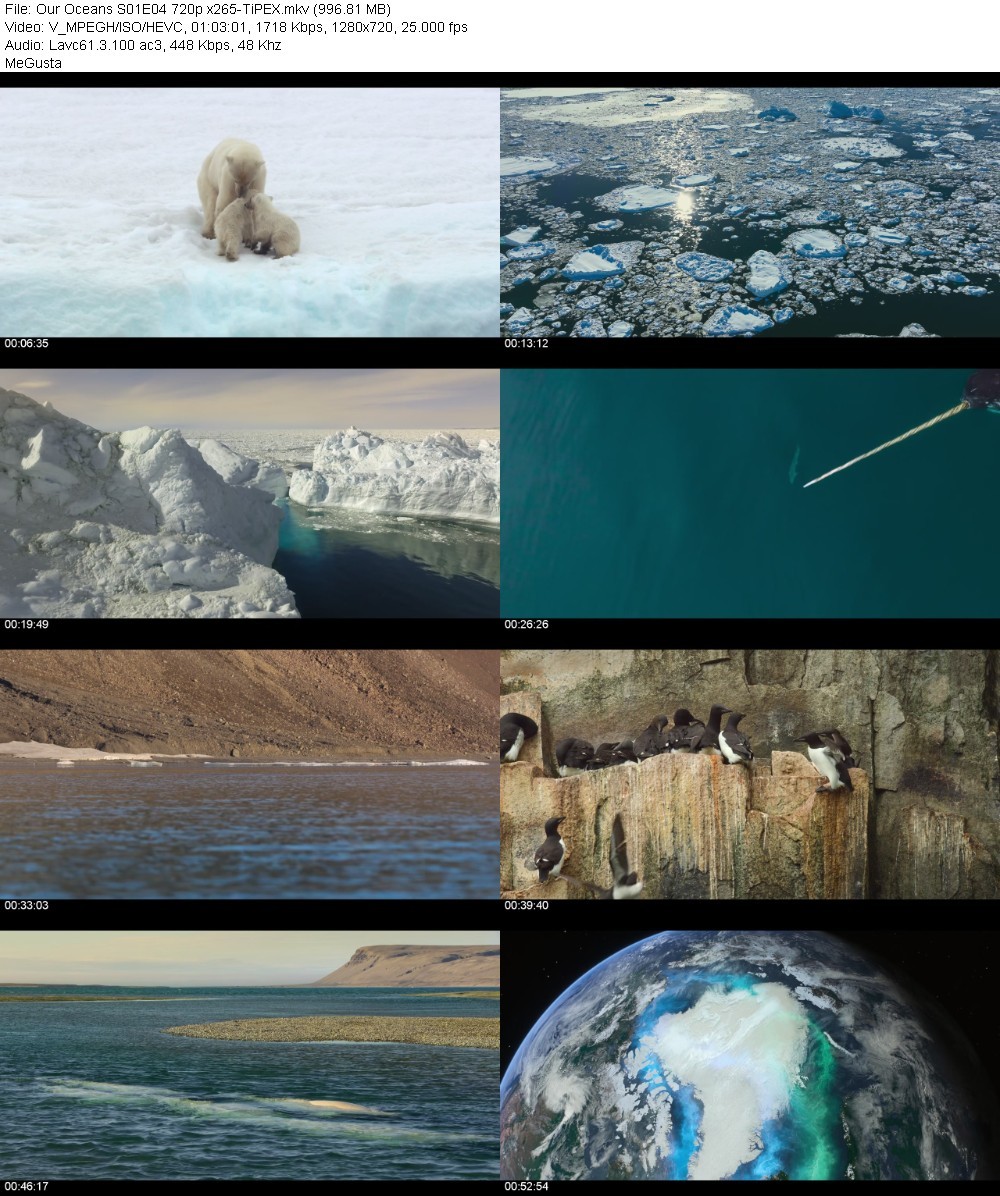 Our Oceans S01E04 720p x265-TiPEX