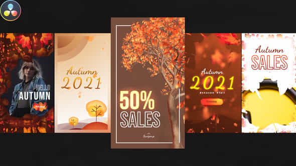 Autumn Season Instagram - VideoHive 33862417