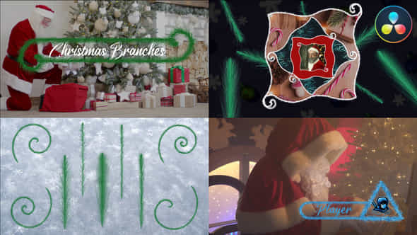 Christmas Branches And - VideoHive 42347550