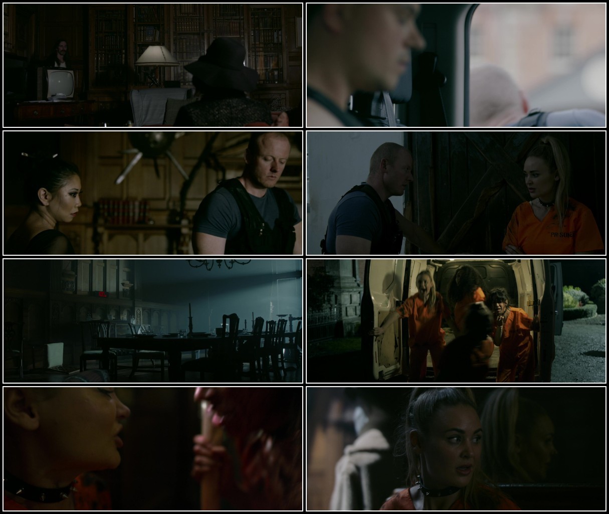 Snake Hotel (2023) 1080p WEB-DL DDP5 1 H264-AOC C3rQjP0n_o