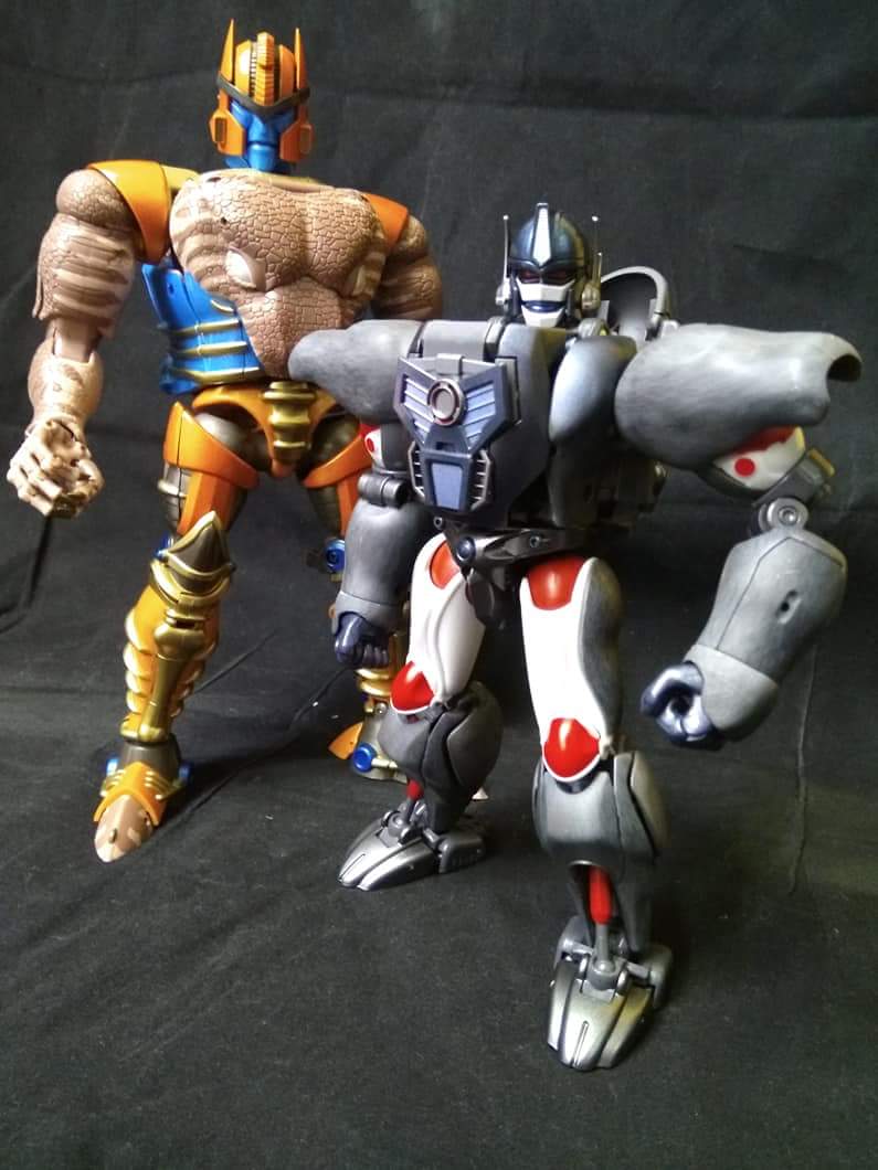 [Masterpiece] MP-41 Dinobot (Beast Wars) - Page 2 NovURgY7_o