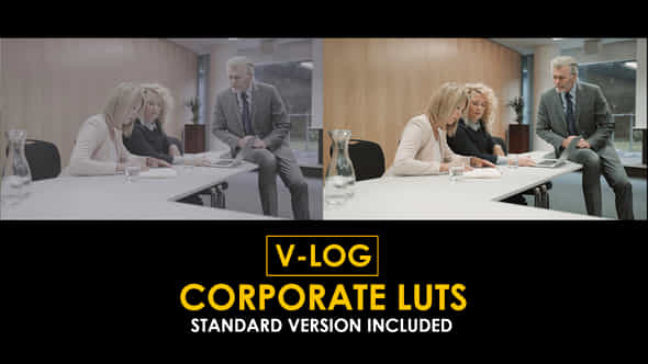 Vlog Corporate And Standard Color Luts - VideoHive 51303149