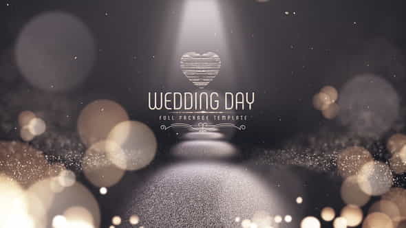 Wedding Day - VideoHive 22214341