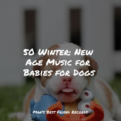 Relaxmydog - 50 Winter New Age Music for Babies for Dogs - 2022