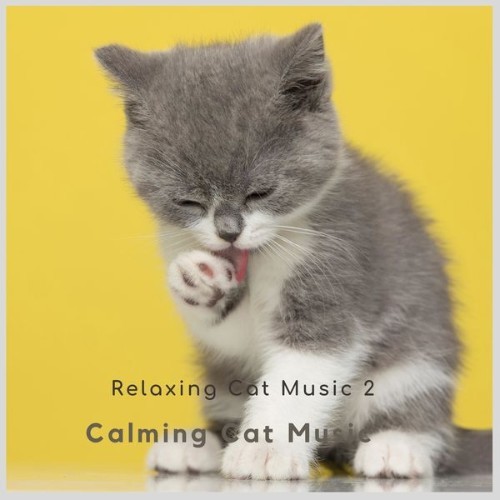Calming Cat Music - Relaxing Cat Music 2 - 2021