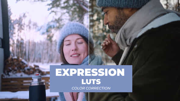 LUTs Expressions - VideoHive 43791235