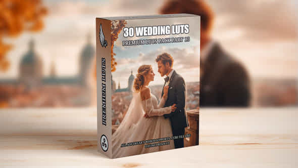 Top 30 Professional Cinematic Wedding Luts For Wedding Filmmakers Part 13 - VideoHive 49759986