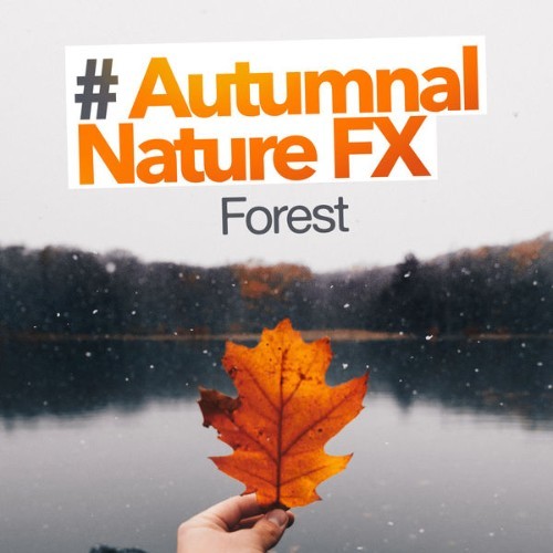 Forest - # Autumnal Nature FX - 2019