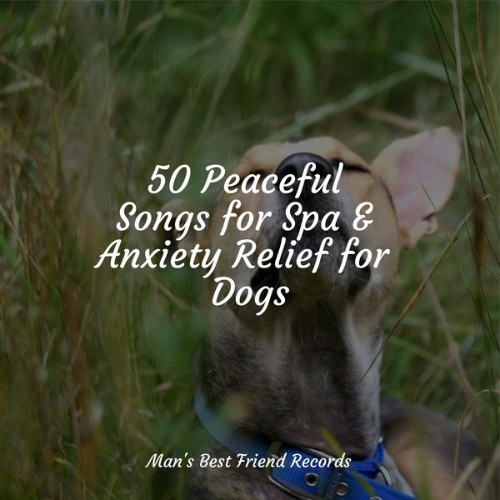 Music for Dog's Ear - 50 Peaceful Songs for Spa & Anxiety Relief for Dogs - 2022