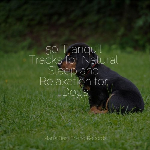 Sleepy Dogs - 50 Tranquil Tracks for Natural Sleep and Relaxation for Dogs - 2022