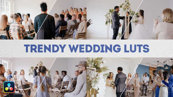 Trendy Wedding Luts Davinci Resolve - VideoHive 49834847