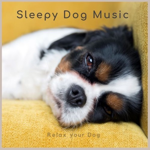 Sleepy Dog Music - Relax Your Dog - 2022