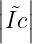 large left | tilde{I{c}} right |