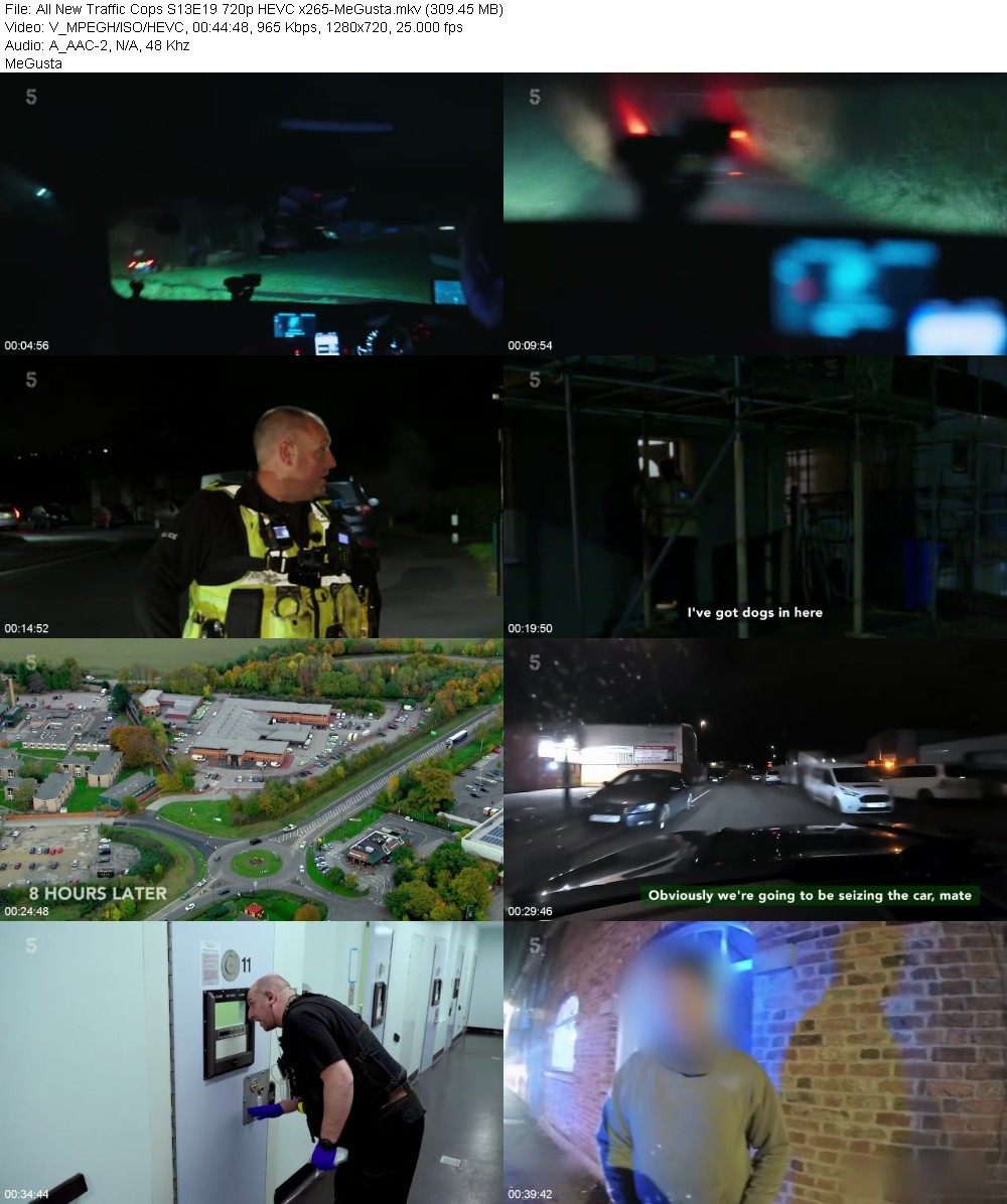 All New Traffic Cops S13E19 720p HEVC x265-MeGusta