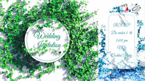 Botanical Leaves Wedding Invitation - VideoHive 52026185