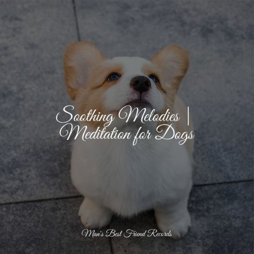 Music for Dog's Ears - Soothing Melodies  Meditation for Dogs - 2022