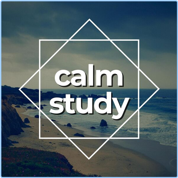 Various Artists - Calm Study (2024) [320 Kbps] NZYCYUvt_o