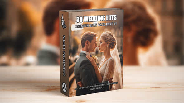 Top 30 Professional Cinematic Wedding Luts For Wedding Filmmakers Part 12 - VideoHive 49750156