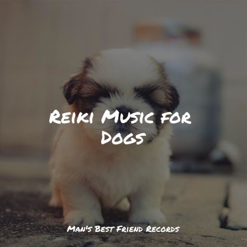 Pet Care Music Therapy - Reiki Music for Dogs - 2022