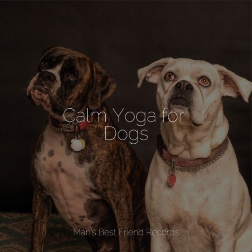 Music for Leaving Dogs Home Alone - Calm Yoga for Dogs - 2022