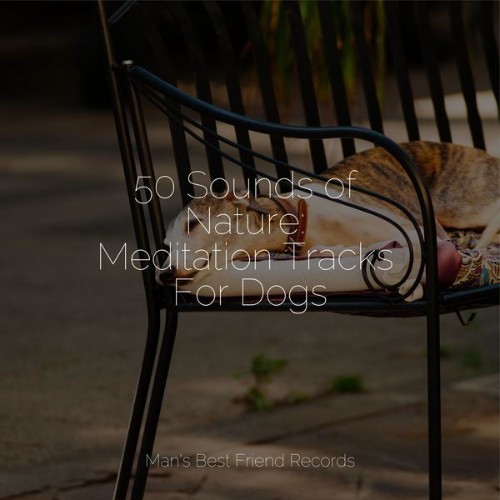 Music for Pets Library - 50 Sounds of Nature Meditation Tracks For Dogs - 2022