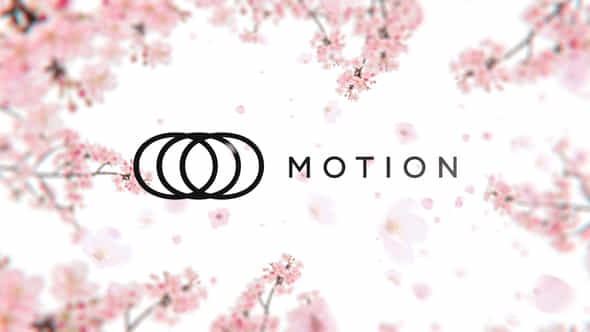 Sakura Blossom Logo - VideoHive 46902887