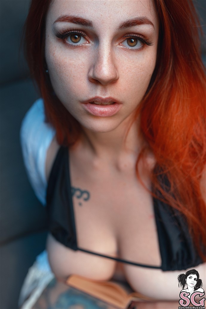 Lucelf Suicide, I&#039;m your favorite book