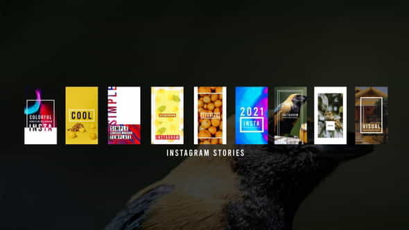 Instagram Stories - VideoHive 29475809