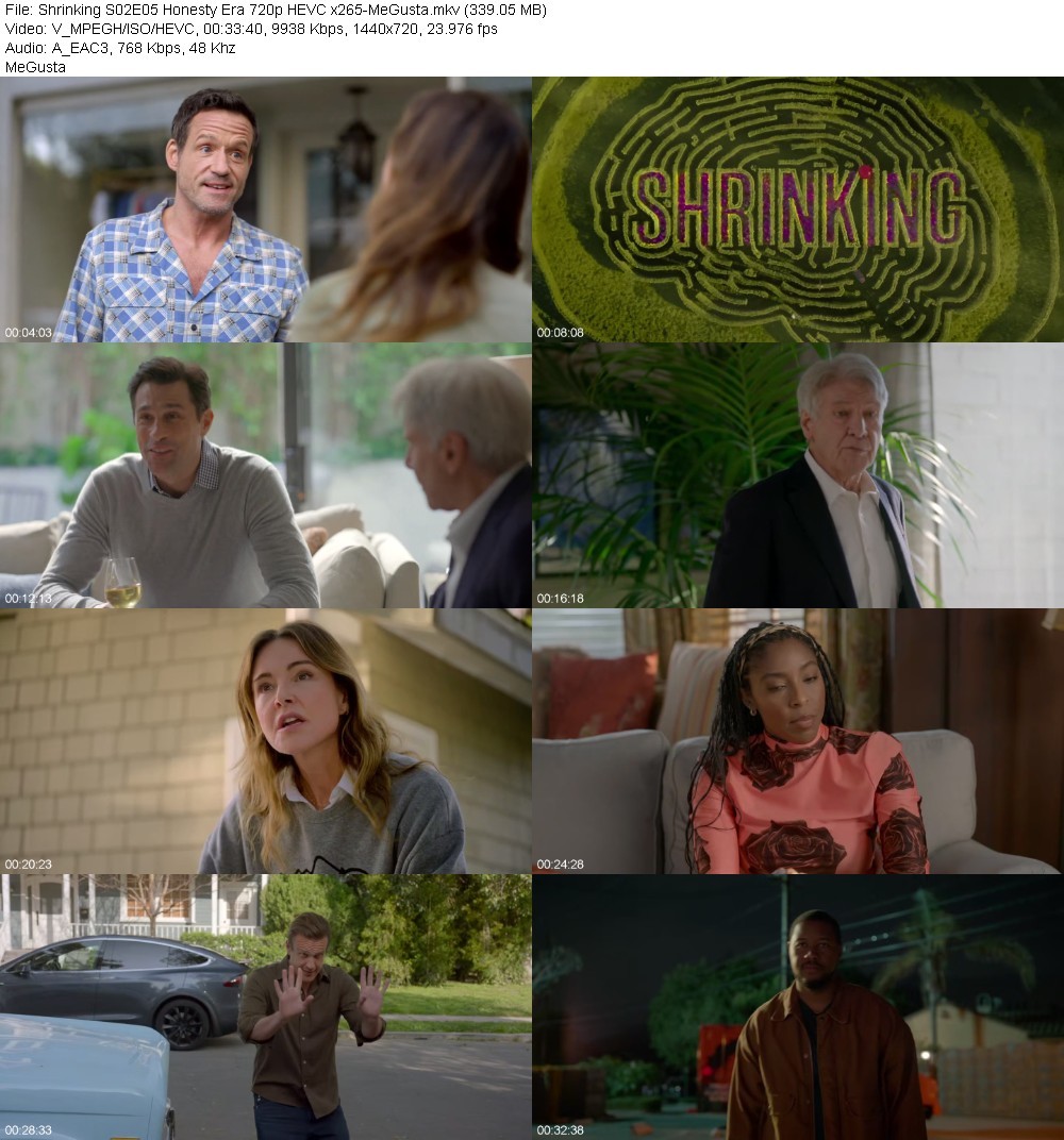 Shrinking S02E05 Honesty Era 720p HEVC x265-MeGusta