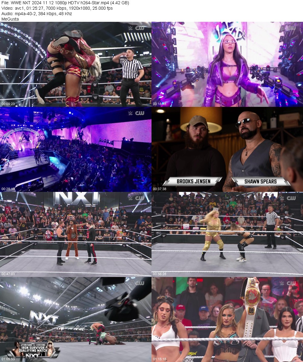 WWE NXT 2024 11 12 1080p HDTV h264-Star