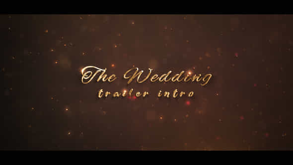 Wedding Day - VideoHive 27679602