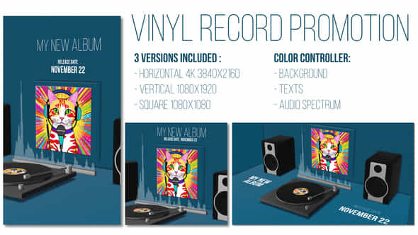 Vinyl Record Promotion - VideoHive 55638162