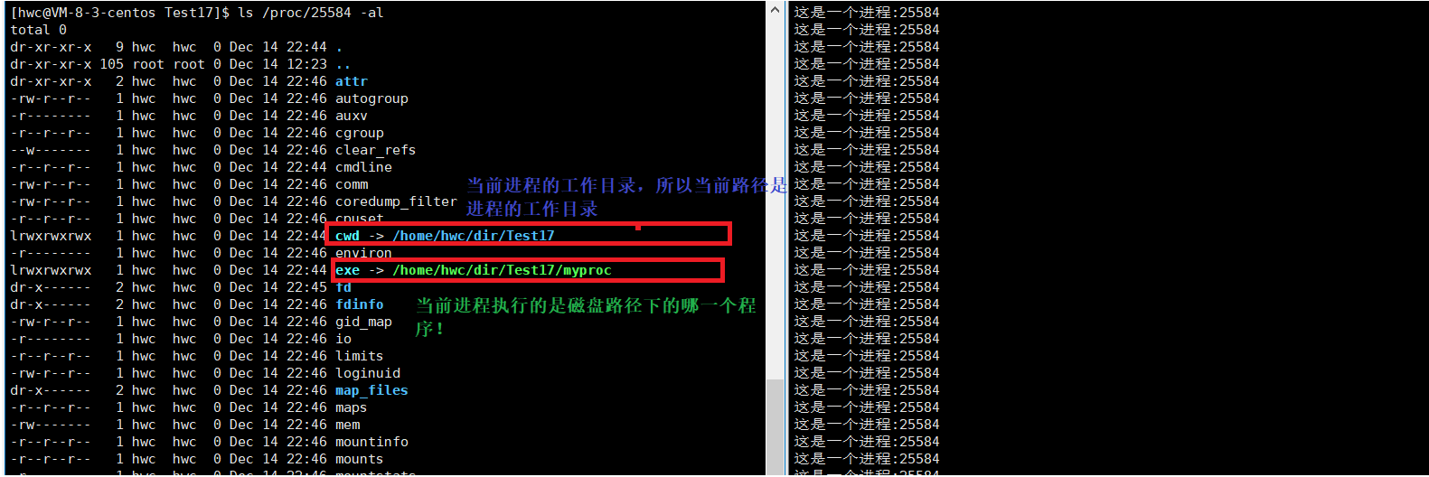 image-20221214225056132