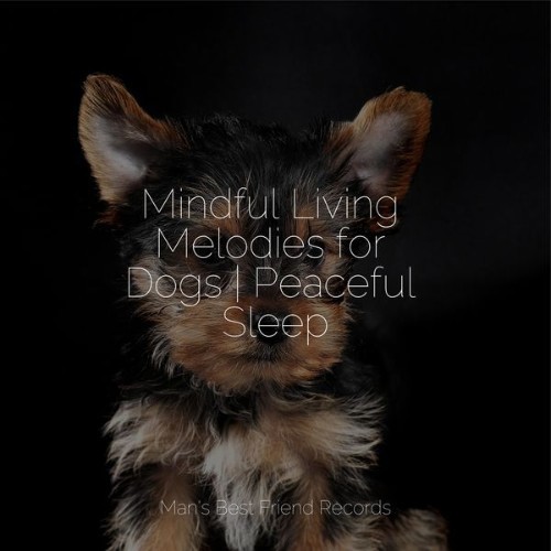 Sleep Music For Dogs - Mindful Living Melodies for Dogs  Peaceful Sleep - 2022