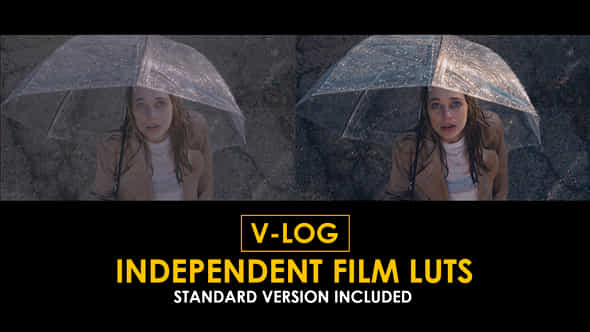 Vlog Independent Film And Standard Color Luts - VideoHive 51378571