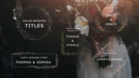 Color Wedding Titles - VideoHive 34854288