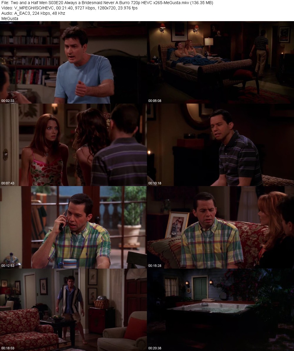 Two and a Half Men S03E20 Always a Bridesmaid Never A Burro 720p HEVC x265-MeGusta