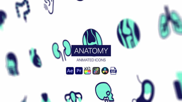 Anatomy Animated Icons - VideoHive 44950428
