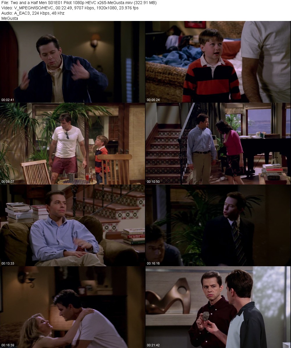 Two and a Half Men S01E01 Pilot 1080p HEVC x265-MeGusta