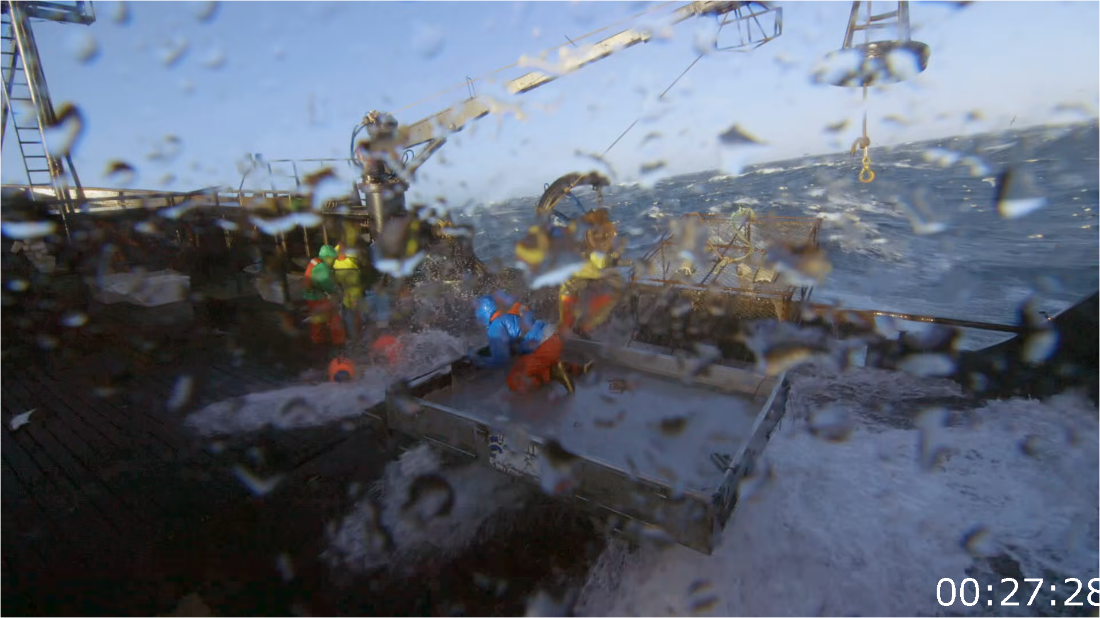 Deadliest Catch S20E04 [1080p] (x265) NxQq3ByH_o