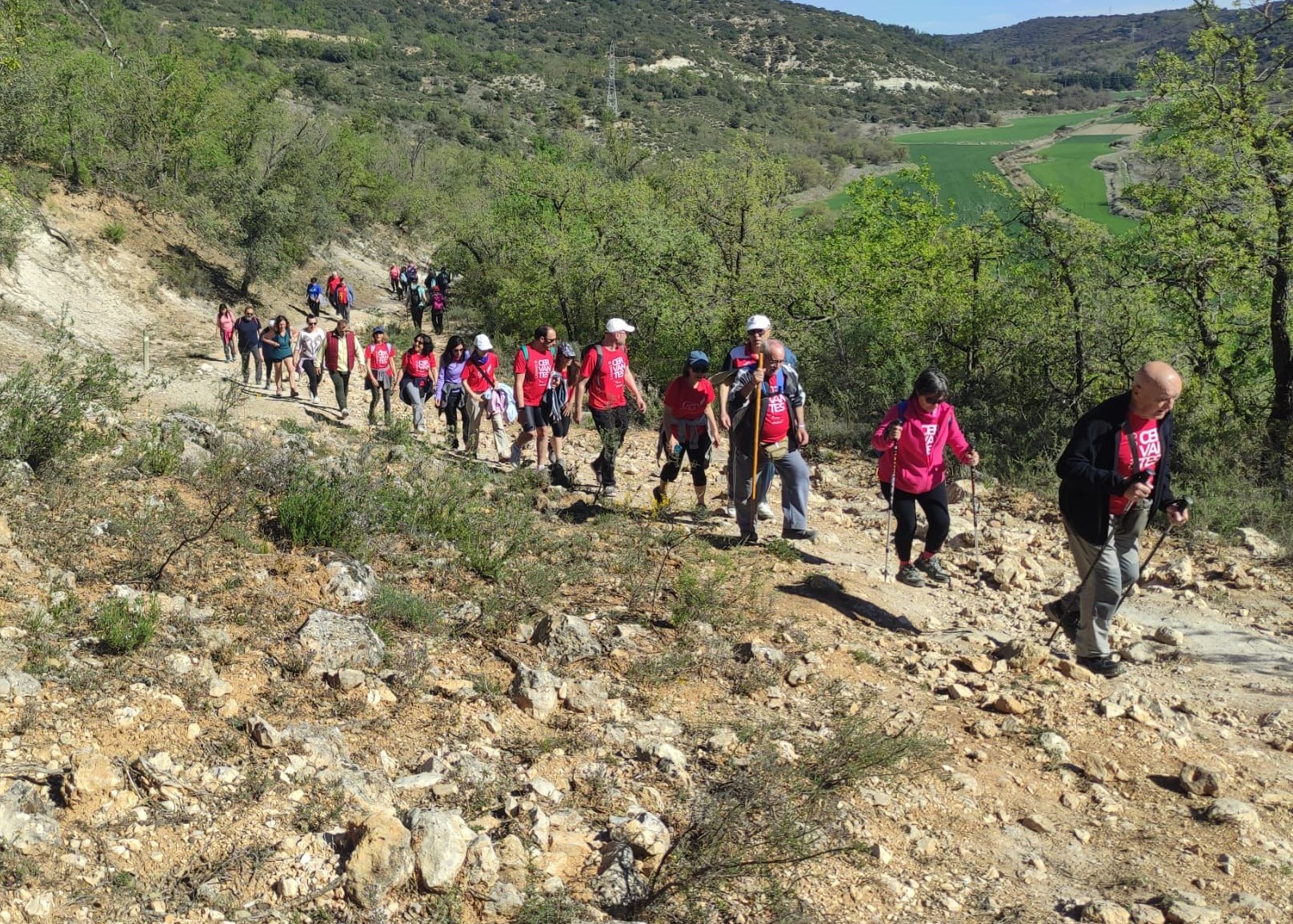 Foto cedida por Camino de Cervantes