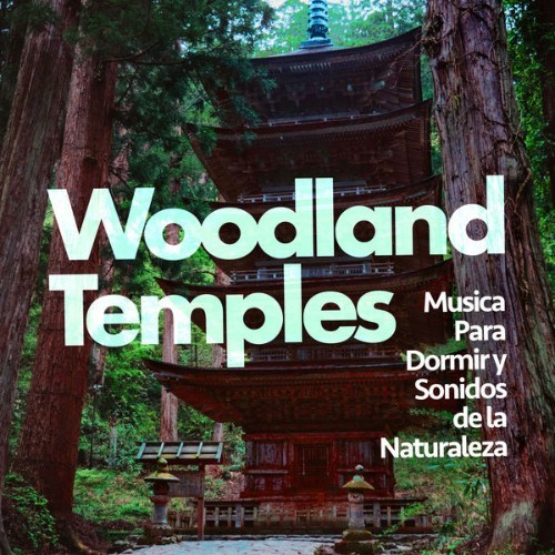 Musica Para Dormir y Sonidos de la Naturaleza - Woodland Temples - 2019
