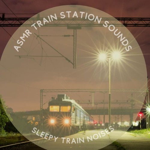 ASMR Train Station Sounds - Sleepy Train Noises - 2022