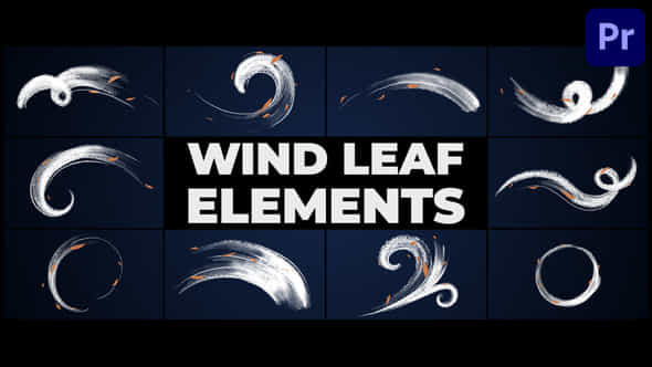 Wind Leaf Elements - VideoHive 46207488