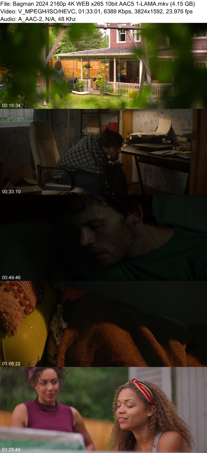 Bagman (2024) 2160p 4K WEB 5 1-LAMA Osr7YC3K_o